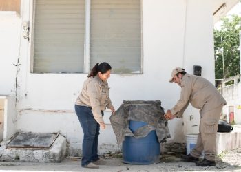Eliminación de criaderos de mosco principal acción contra el dengue: SESA