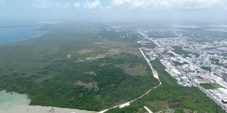 Gobierno de BJ ampara la protección de espacios áreas naturales