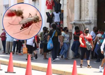 El dengue ha tenido un repunte exponencial en lo va del año