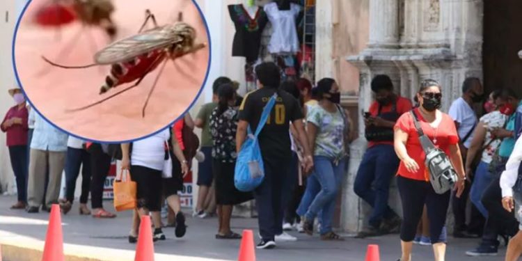 El dengue ha tenido un repunte exponencial en lo va del año