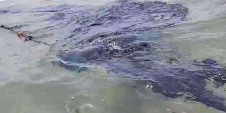 Pescadores afirmaron haber detectado manchas de crudo en mar de la costa