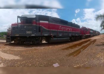 Segalmex realiza el primer embarque de 9 mil toneladas de maíz a México