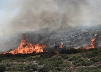Autoridades continúan trabajando frente a los incendios en Grecia