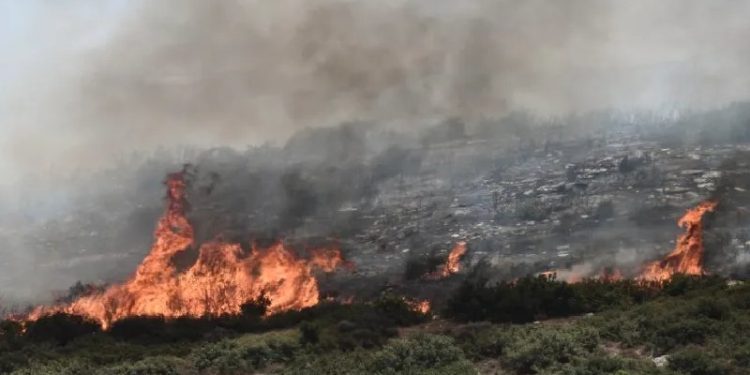 Autoridades continúan trabajando frente a los incendios en Grecia