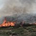 Autoridades continúan trabajando frente a los incendios en Grecia