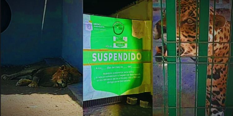 Rancho en Nuevo León es clausurado por exhibir animales exóticos