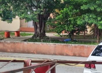 Ejecutan a joven en Paseos del Mar, Cancún