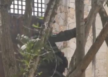 Autoridades catean casa de Alejandro Moreno en Campeche