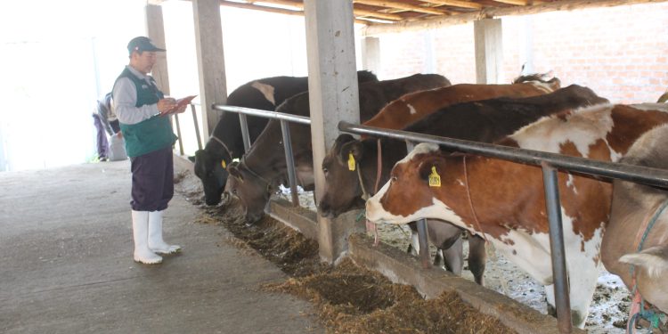 Se registran 12 casos de brucelosis en Tabasco