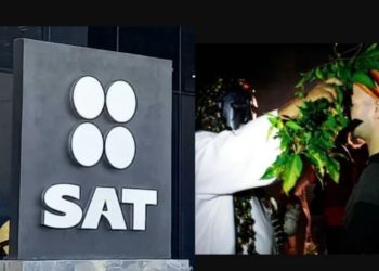 SAT va por hechiceros, vudús, curanderos y chamanes para que también paguen impuestos