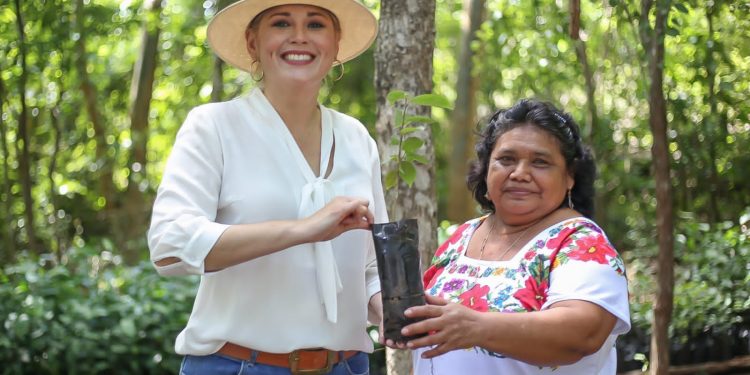 Las mujeres son transformadoras del campo yucateco