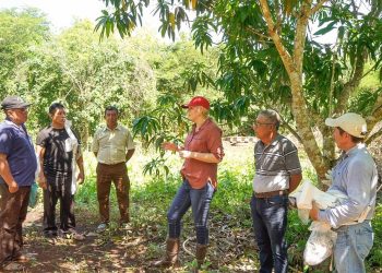 Verónica Camino Farjat gestiona que la miel se incluya en el Programa Precio de Garantía del Gobierno Federal