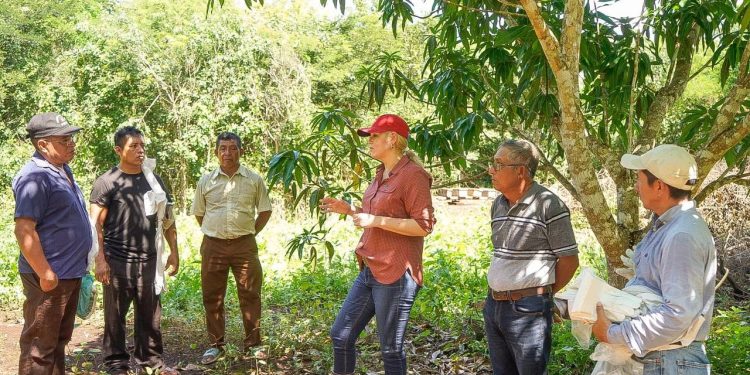 Verónica Camino Farjat gestiona que la miel se incluya en el Programa Precio de Garantía del Gobierno Federal
