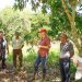 Verónica Camino Farjat gestiona que la miel se incluya en el Programa Precio de Garantía del Gobierno Federal