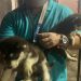 Rescatan a perritos de raza en Cancún; eran maltratados por su dueño