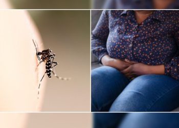 Recomienda SESA acudir a los centros de salud y no automedicarse en caso de dengue