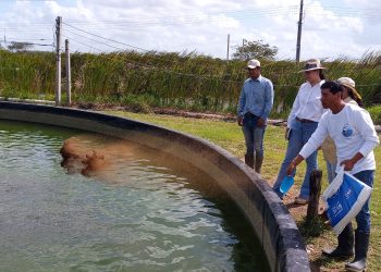 Gobierno de Mara Lezama invertirá 6 millones 650 mil pesos para apoyo a la acuacultura y pesca: SEDARPE