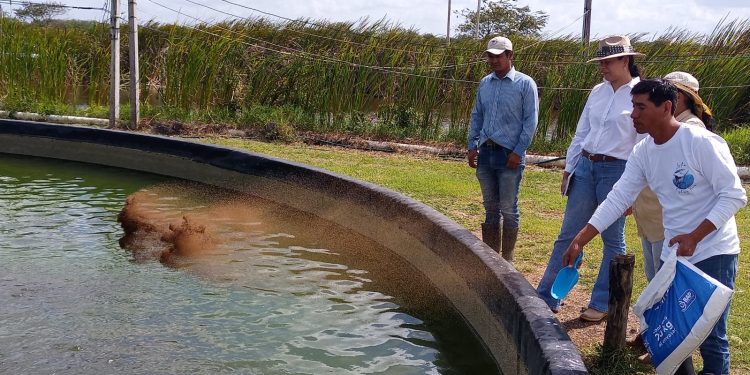 Gobierno de Mara Lezama invertirá 6 millones 650 mil pesos para apoyo a la acuacultura y pesca: SEDARPE