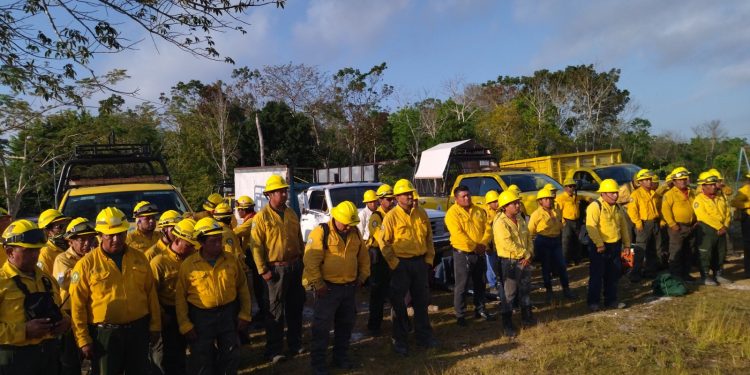 Quintana Roo trabaja en la prevención de incendios forestales