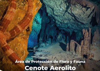 Quintana Roo tiene cuatro nuevas áreas naturales protegidas