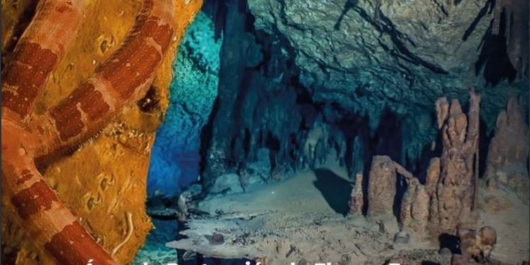 Quintana Roo tiene cuatro nuevas áreas naturales protegidas