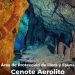 Quintana Roo tiene cuatro nuevas áreas naturales protegidas