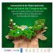 Participa Quintana Roo en el seguimiento del Mecanismo de Cooperación de Proyectos Sustentables