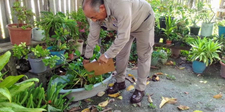 Combate al dengue es tarea de todas y todos: SESA