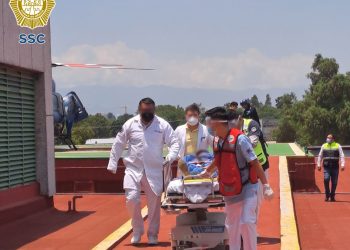 Víbora de cascabel muerde a una menor de edad en Xochimilco