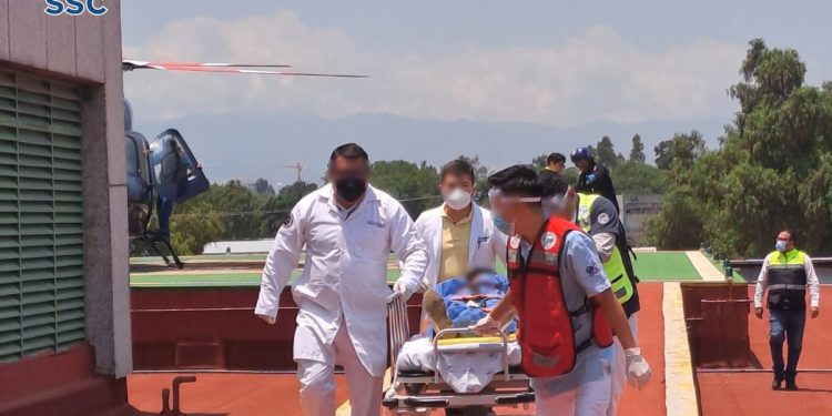 Víbora de cascabel muerde a una menor de edad en Xochimilco