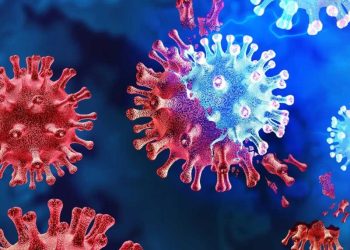 Nueva variante Eris llega a México