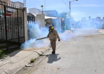 Convocan a sumarse a la Segunda Jornada Nacional Contra el Dengue