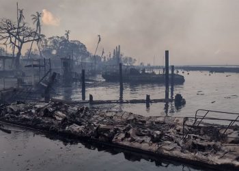 Al menos 80 personas murieron tras incendio forestal en Hawaii