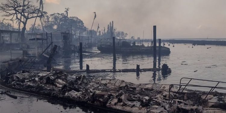 Al menos 80 personas murieron tras incendio forestal en Hawaii