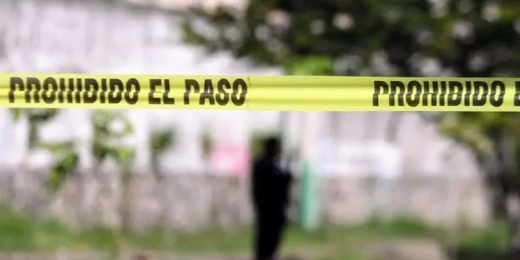 Encuentran restos humanos en congeladores en el estado de Veracruz