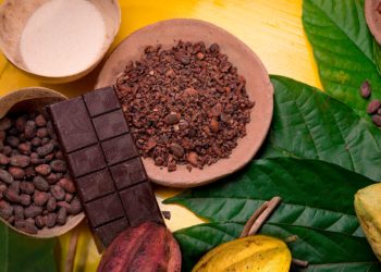 Tabasco será sede del 12o Festival del Chocolate
