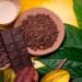 Tabasco será sede del 12o Festival del Chocolate