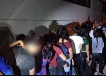 Rescata INM a 123 migrantes extranjeros en Veracruz tras choque de autobús