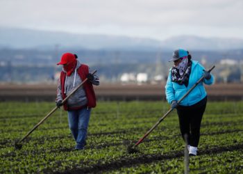 Latinos representan casi el 80 % del crecimiento de la fuerza laboral en Estados Unidos