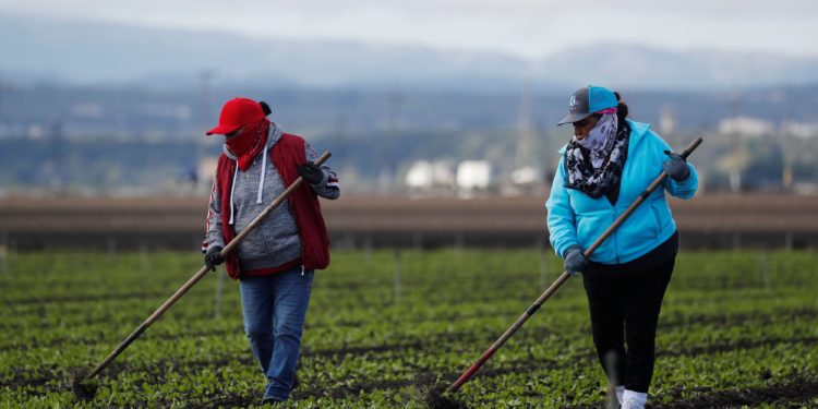 Latinos representan casi el 80 % del crecimiento de la fuerza laboral en Estados Unidos