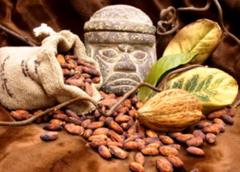 Se celebrará el Día Internacional del Chocolate en Yucatán