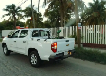 Aumenta los casos de dengue hemorrágico en Tabasco