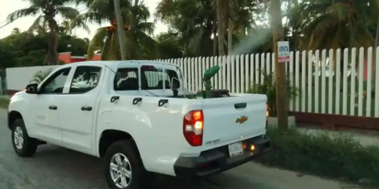 Aumenta los casos de dengue hemorrágico en Tabasco