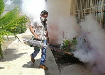 Focos rojos y amarillos por dengue en Yucatán
