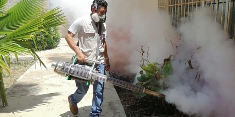 Focos rojos y amarillos por dengue en Yucatán
