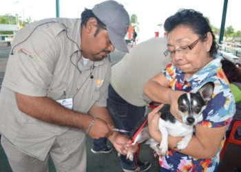 Anuncia SESA Jornada Nacional de Vacunación Antirrábica Canina y Felina 2023