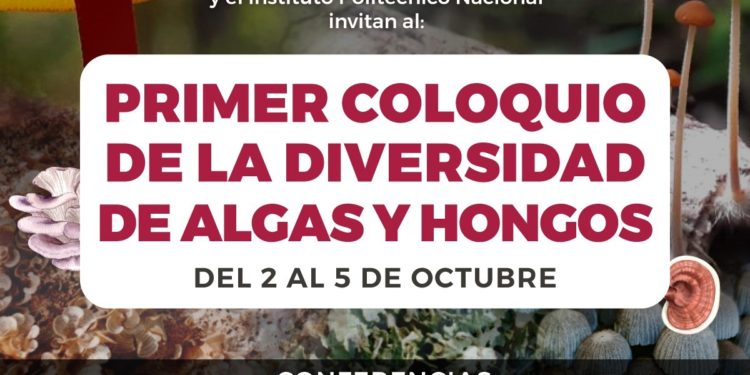 La Fundación de Parques y Museos y el IPN llevarán a cabo el Primer Coloquio de la Diversidad de Algas y Hongos