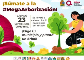 Invita SEMA a participar en la Mega Arborización en todo Quintana Roo