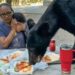 Familia son sorprendidos por un oso devorando su comida en Chipinque