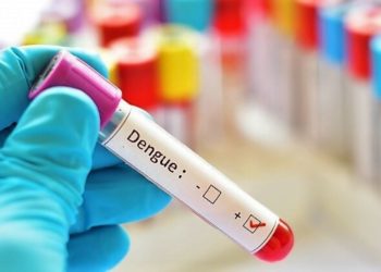 Aumentan casos de Dengue en Mérida